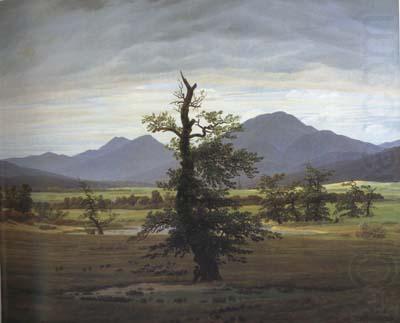 Landscape with Solitary Tree (mk10), Caspar David Friedrich